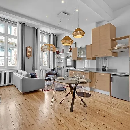 Le Salini Apartment Toulouse