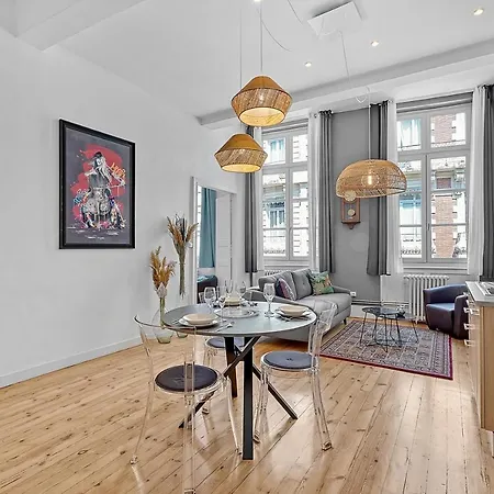 Le Salini Apartment Toulouse